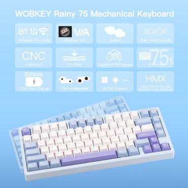 KEEBMONKEY WOBKEY Rainy 75 Mechanical Keyboard - Standard - Blue