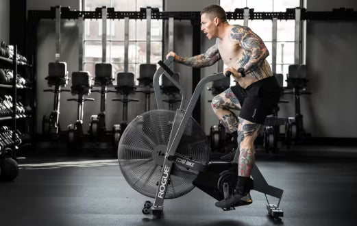 Rogue ECHO Bike v3.0 - PICK UP ONLY