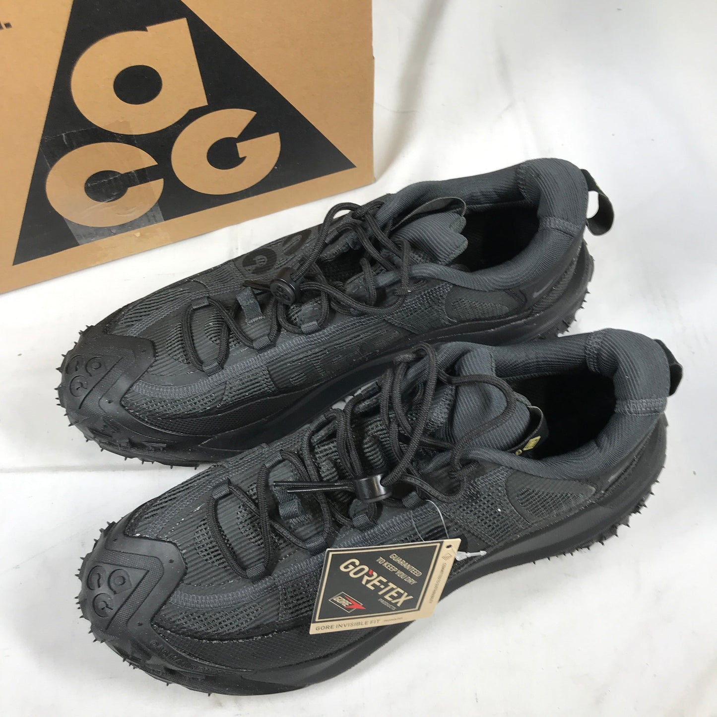 Nike ACG Mountain Fly 2 Low GTX
