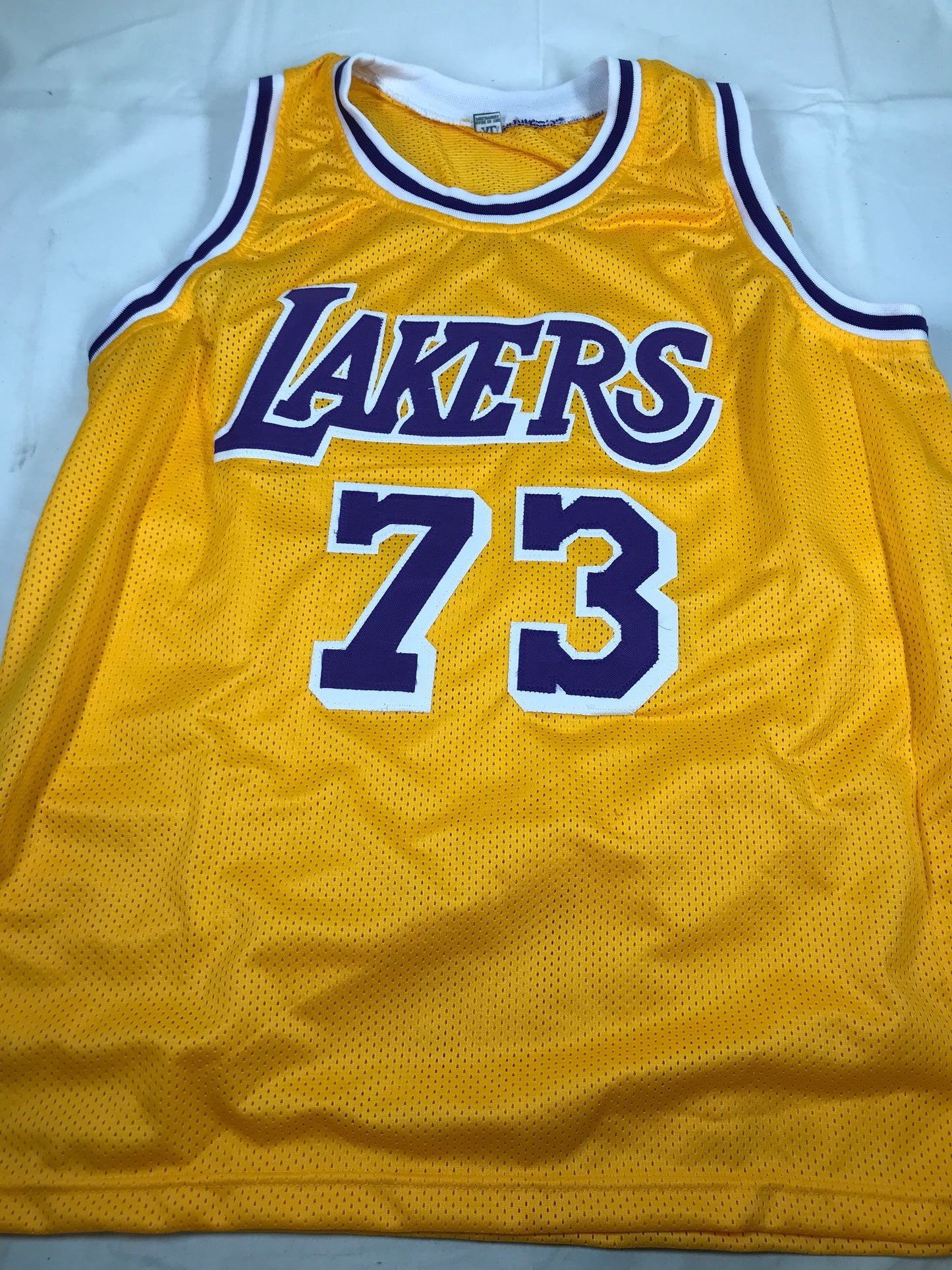 NBA - Dennis Rodman Los Angeles Lakers Signed Jersey