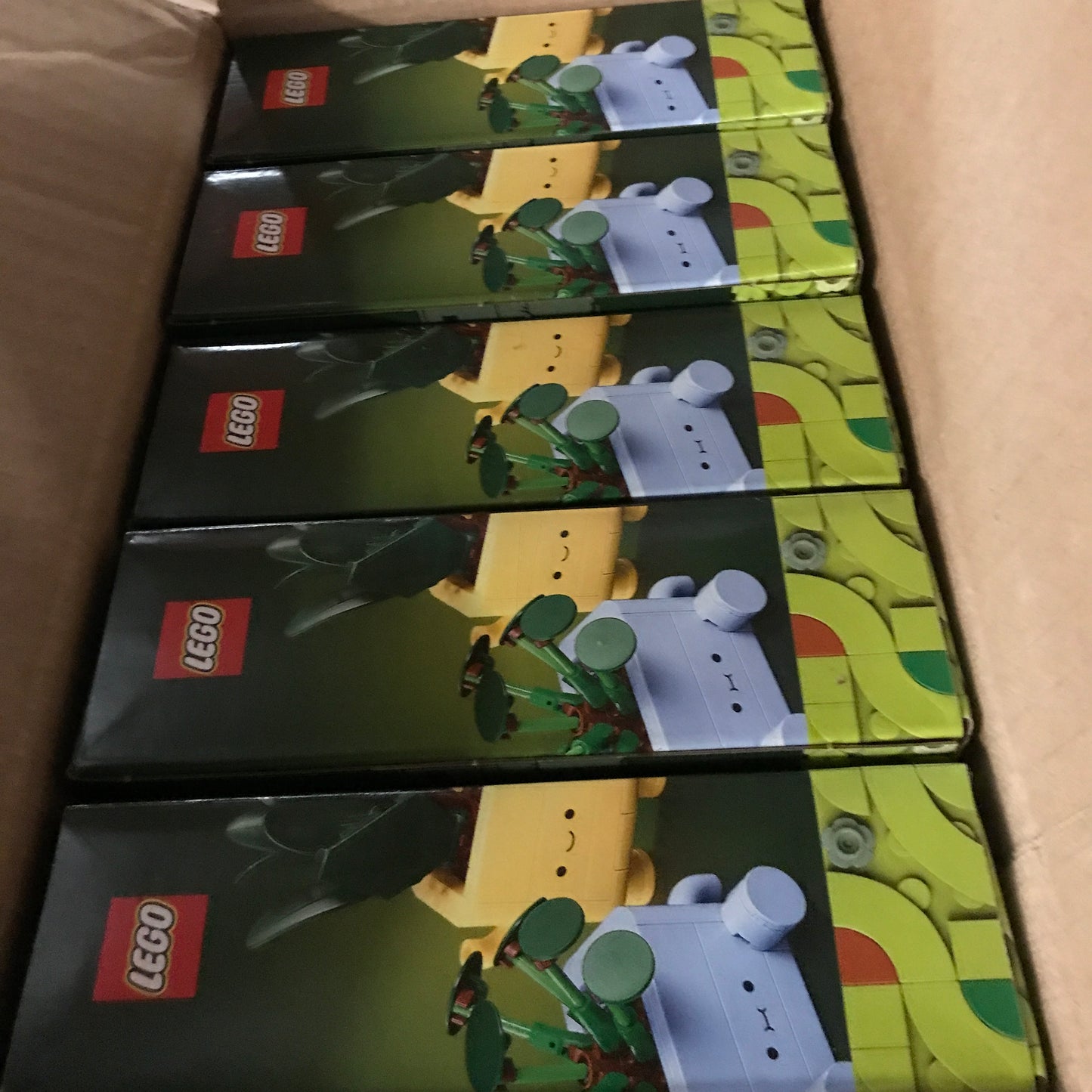 Lego The Botanical Collection Happy Plants - Case Pack (5 Pcs)