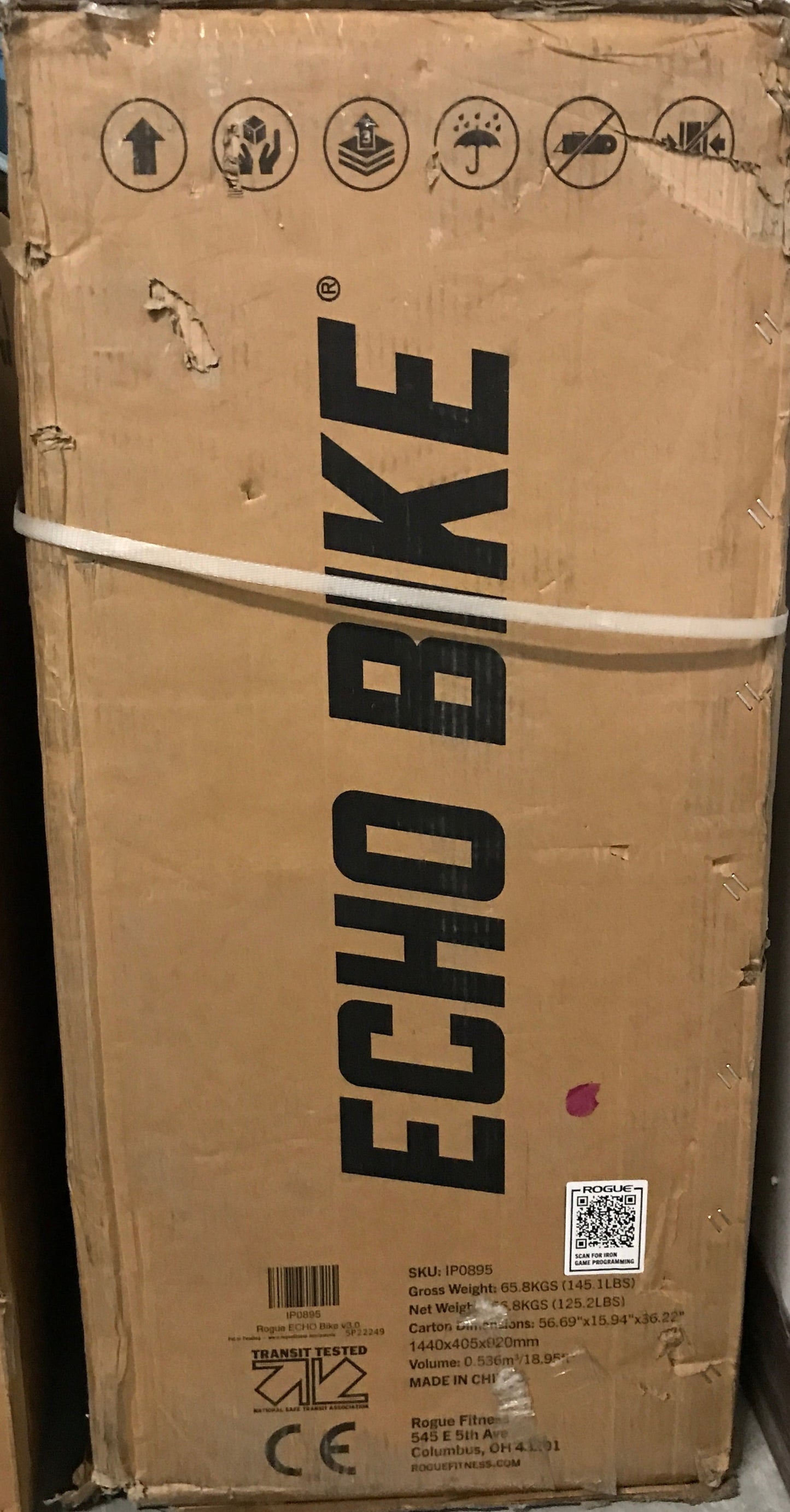 Rogue ECHO Bike v3.0 - PICK UP ONLY