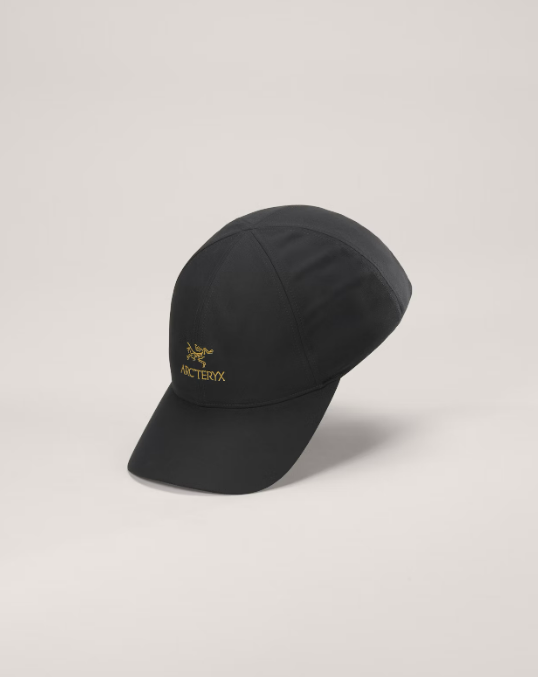 Arc'teryx Bird Word Cap