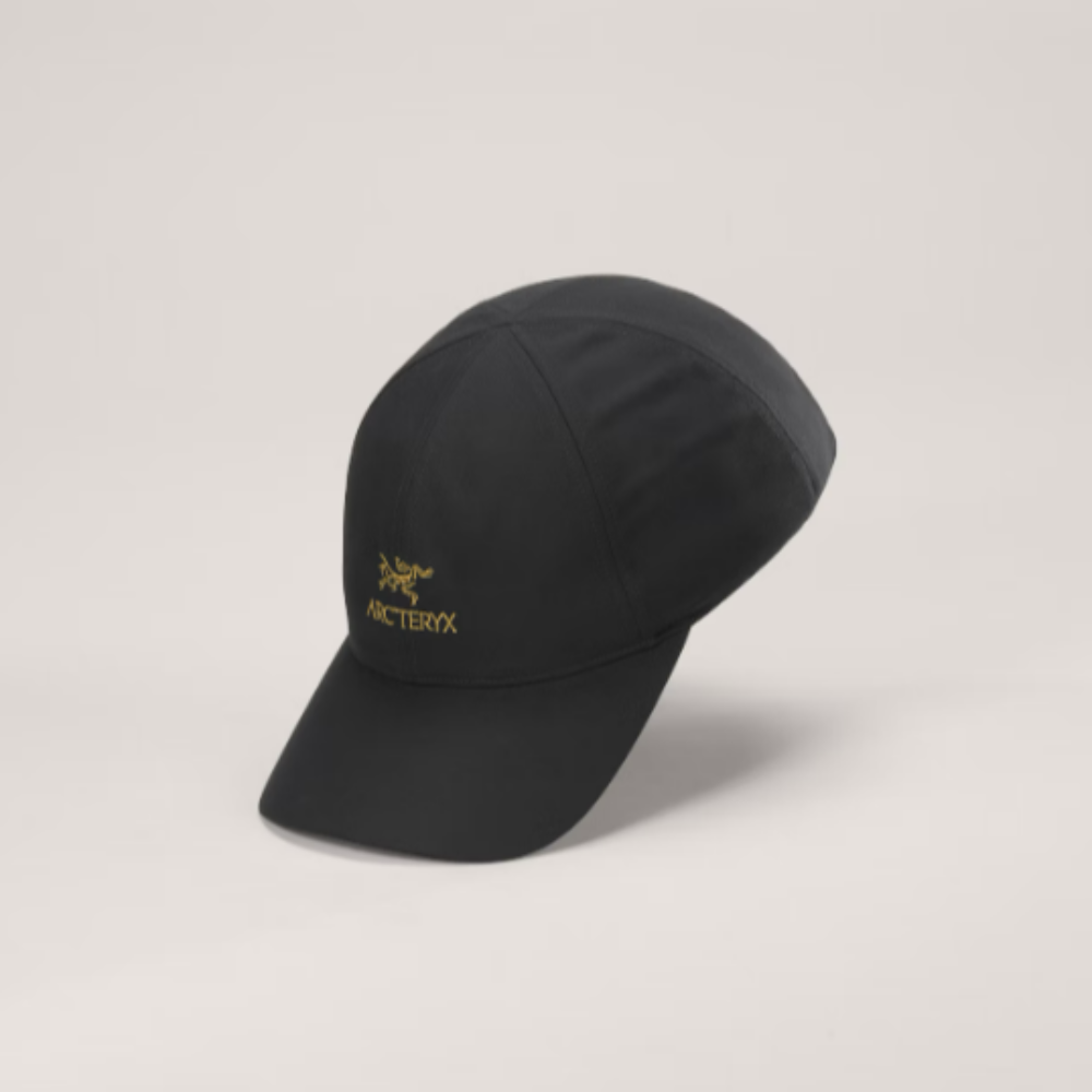 Arc'teryx Bird Word Cap