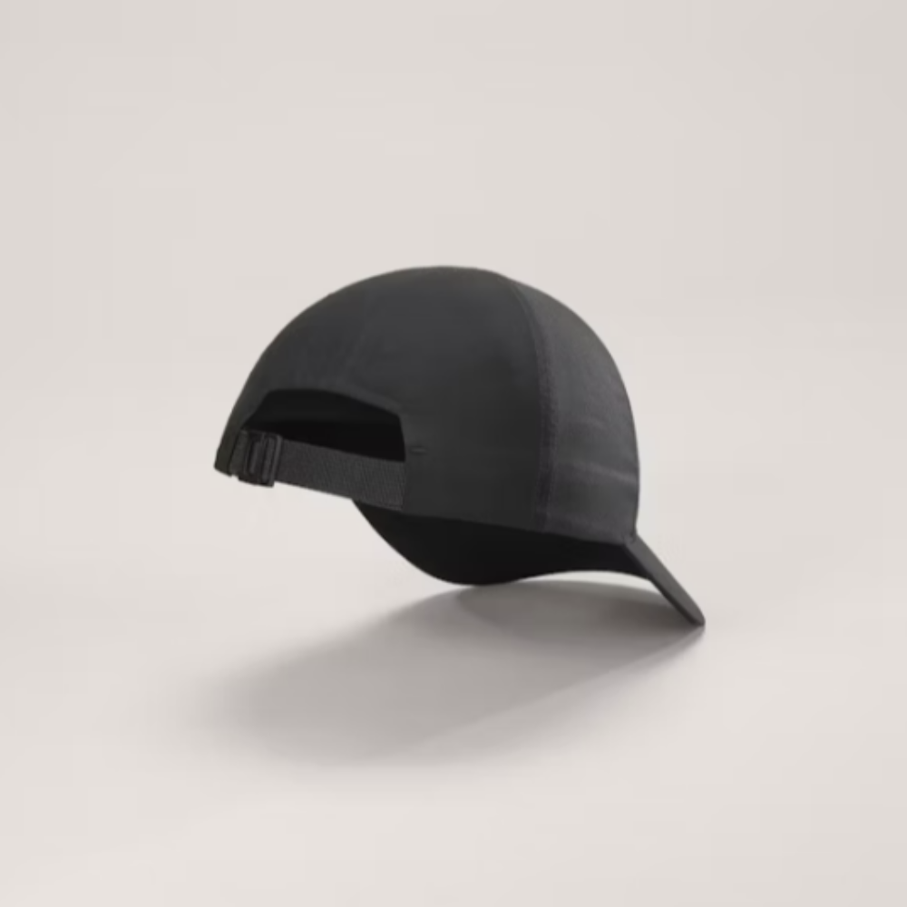Arc'teryx Bird Word Cap