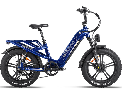 Freesky Rocky Pro A-320 Ebike - PICK UP ONLY