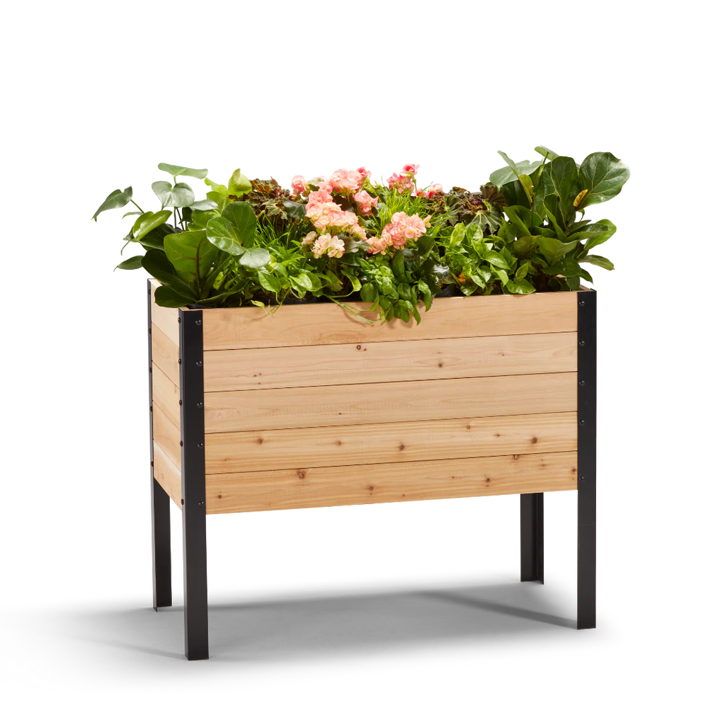 Cedar Planters 18" x 36" Raised Garden Bed - 30" Tall - PICK UP ONLY