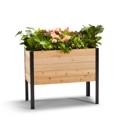 Cedar Planters 18" x 36" Raised Garden Bed - 30" Tall - PICK UP ONLY