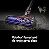 Dyson V8 Extra Cordless Vacuum