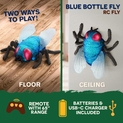 TERRA by Battat - RC Fly: Blue Bottle Fly