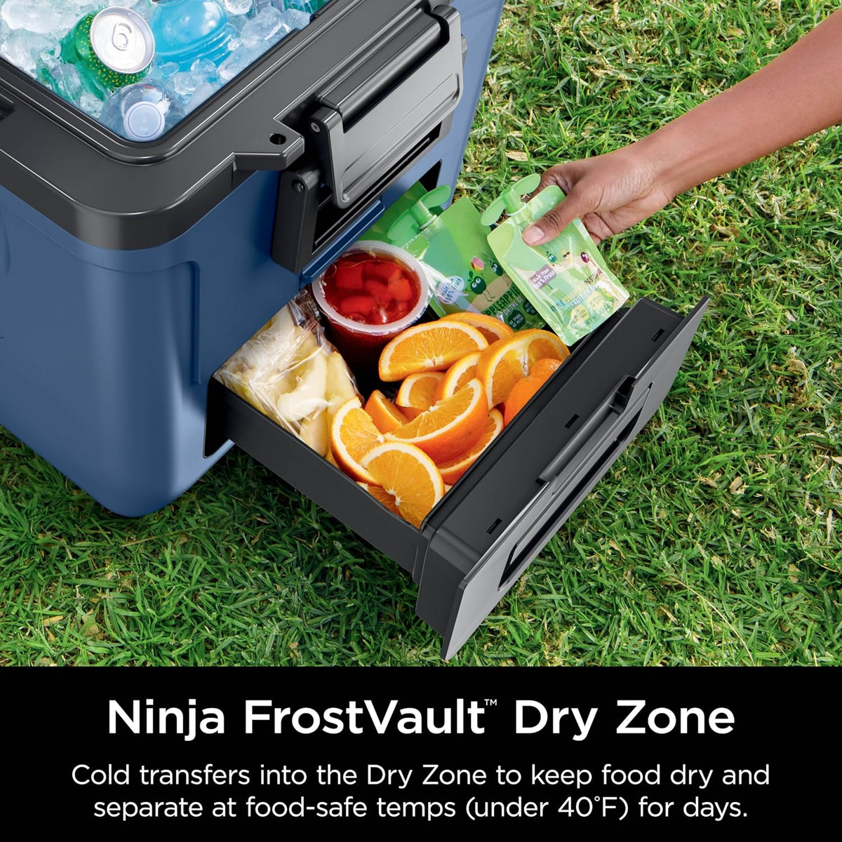 Ninja FrostVault Wheeled Cooler with Dry Zone