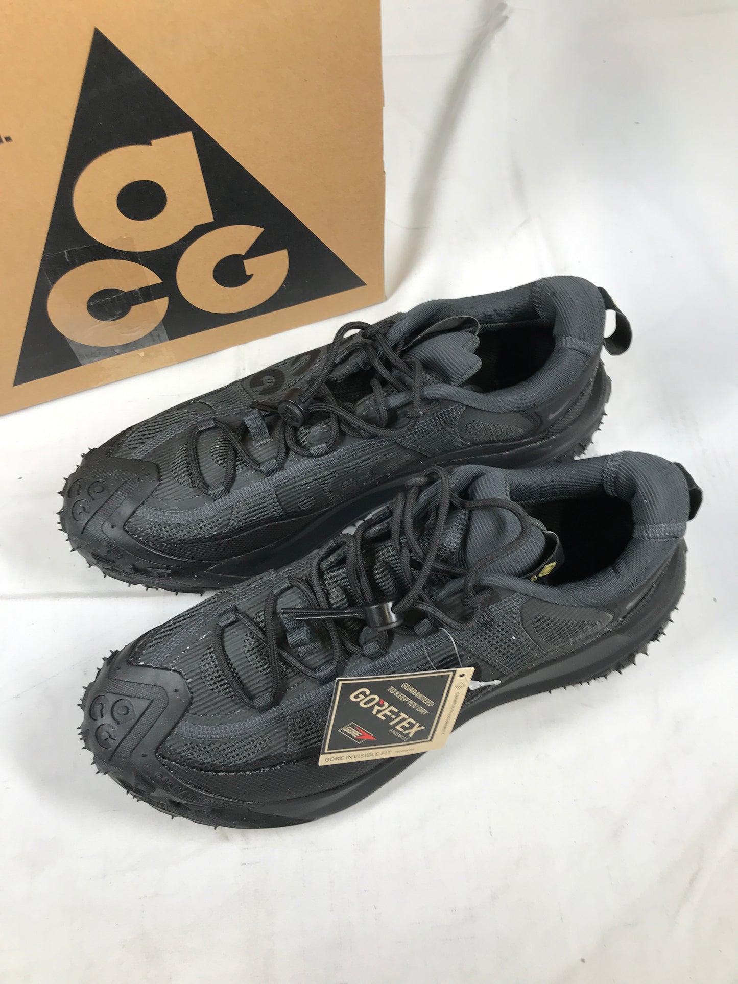 Nike ACG Mountain Fly 2 Low GTX