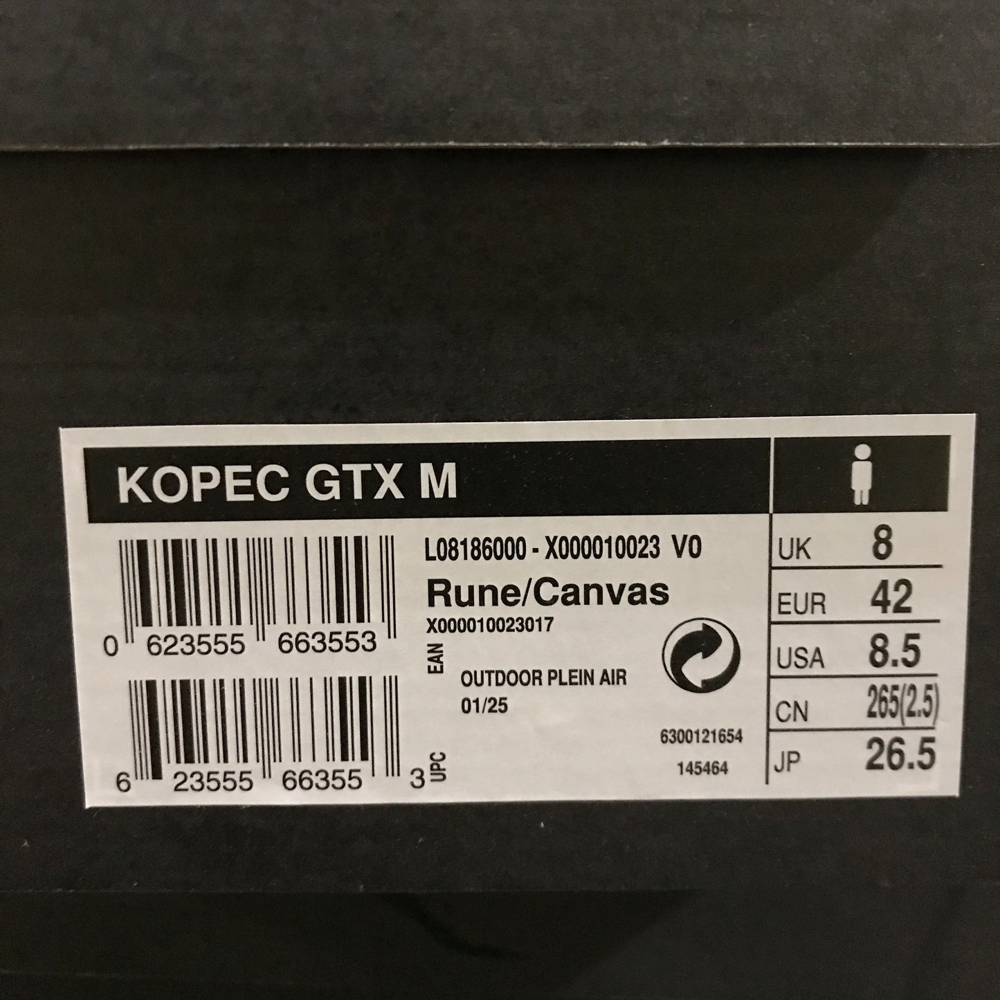Arc’teryx Kopec GTX Shoe Men's - Rune/Canvas