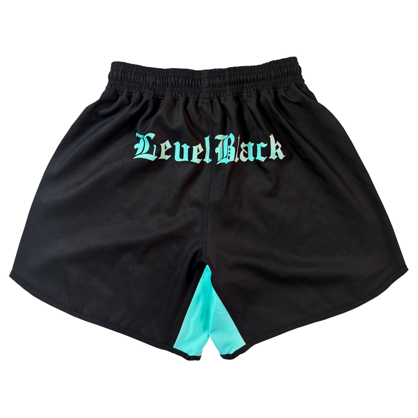 LEVEL BLACK Powertrip V2 Training Shorts