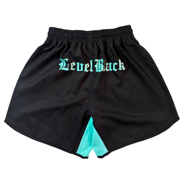 LEVEL BLACK Powertrip V2 Training Shorts