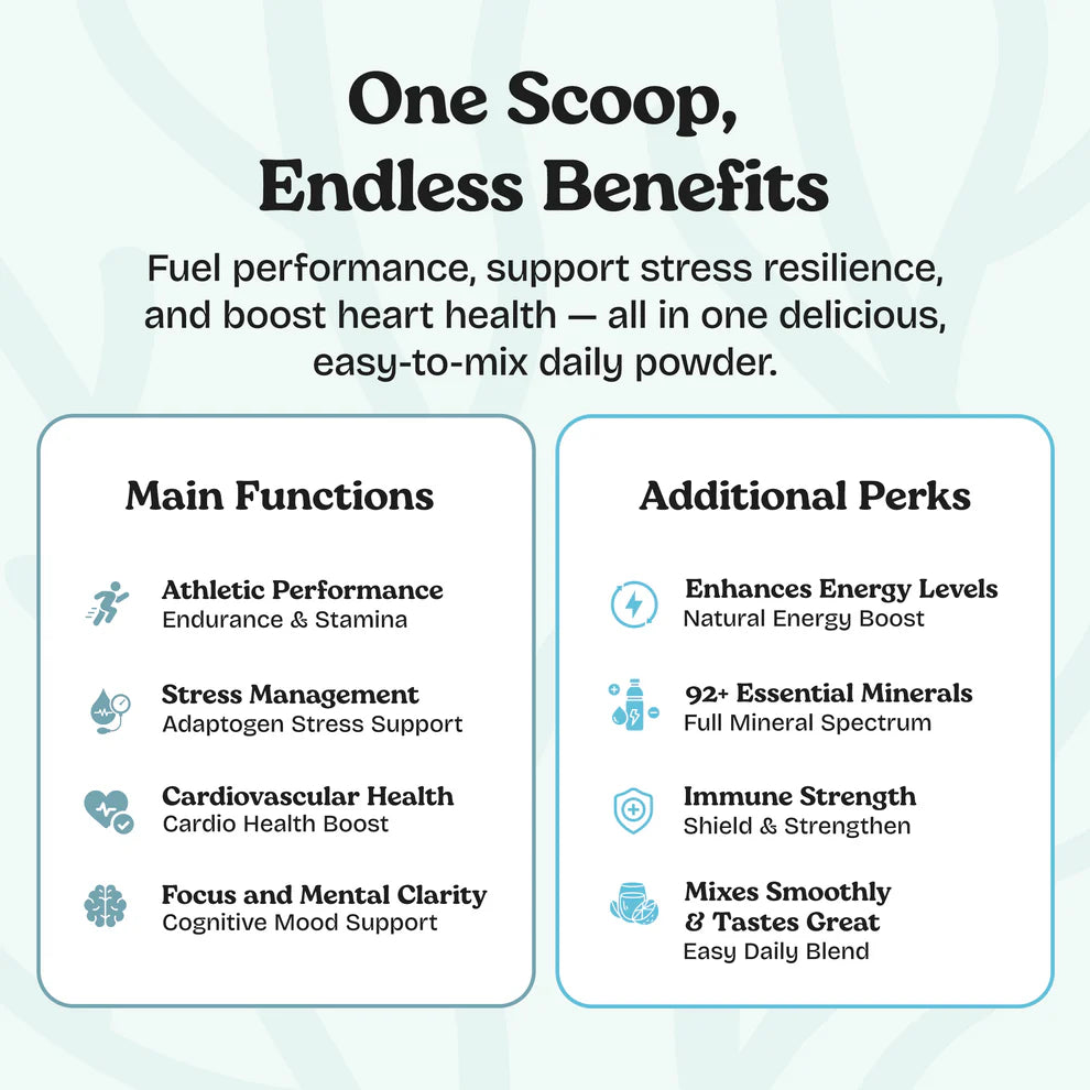 Atlantic Naturals Organic Sea Moss Superfood Powder with Ashwagandha, Beet Root & Maca, 30 Servings