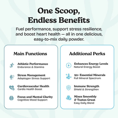 Atlantic Naturals Organic Sea Moss Superfood Powder with Ashwagandha, Beet Root & Maca, 30 Servings