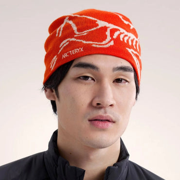 Arc'teryx Bird Head Toque - Dynasty / Arc Silk