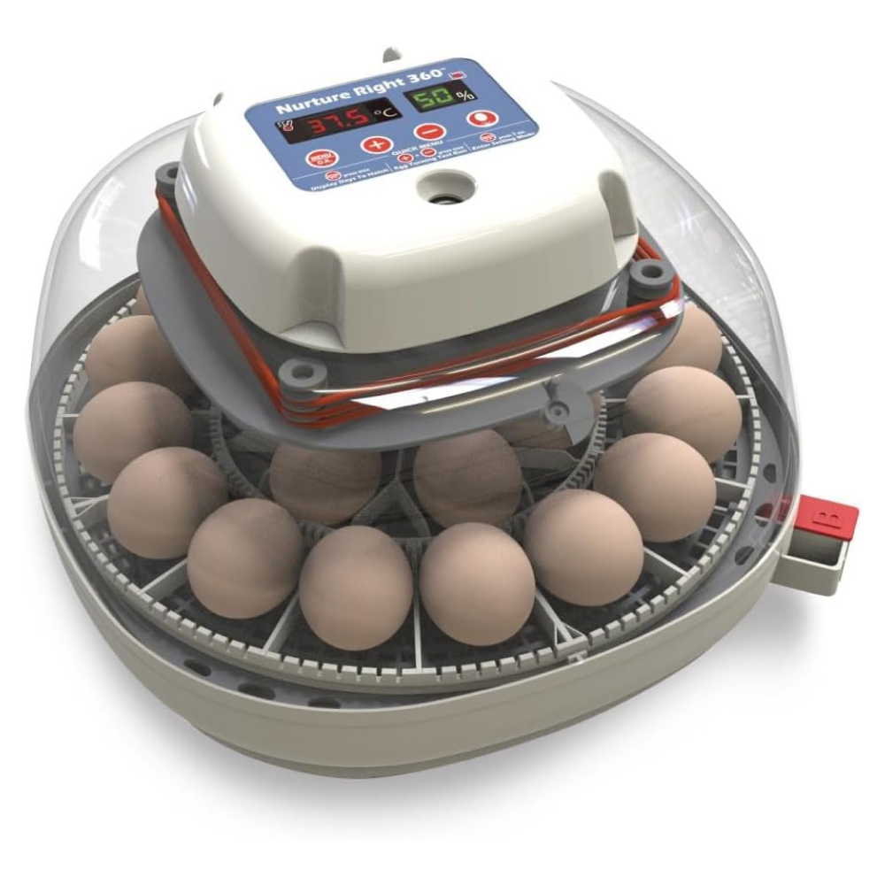 Harris Farms Nurture Right Egg Incubator for Hatching Chicks