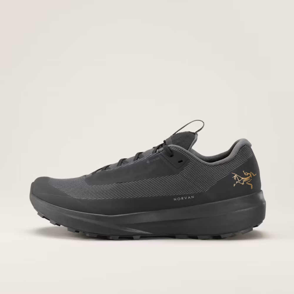 Arc’teryx Norvan LD 4 GTX Shoe Women's - Black