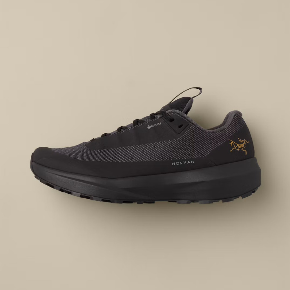 Arc’teryx Men's Norvan LD 4 GTX Shoe - Black