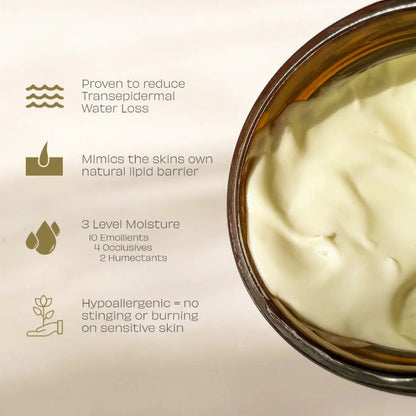 Ziziphus Concentrated Cream