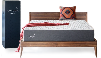 SEALY® Cocoon™ 10" Firm Memory Foam Mattress - Queen